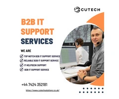 Streamlining Operations with B2B IT Support Services