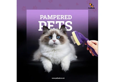 Ultimate Dog Grooming Brush for a Perfect Coat!