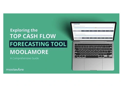 Revolutionize Your Business Planning with Moolamore Forecasting Tool