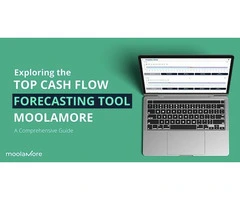 Revolutionize Your Business Planning with Moolamore Forecasting Tool