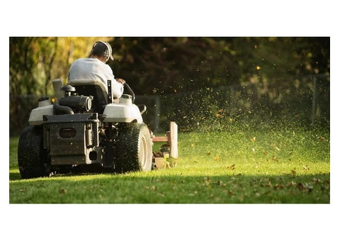 Best gardening services in Dundee. - 3/3