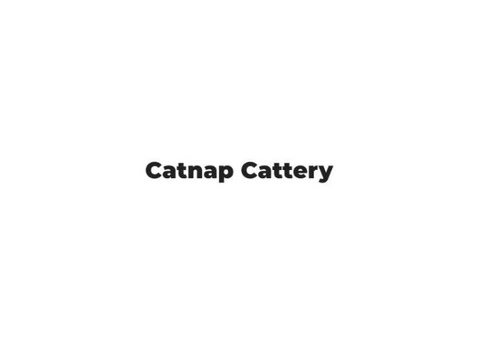 Safe and Comfortable Cattery Boarding - Catnap Cattery, Tunbridge Wells