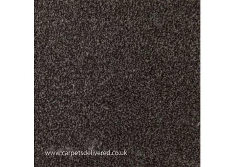 Premium Quality Brown Carpet - Carpet Delivery