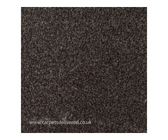 Premium Quality Brown Carpet - Carpet Delivery