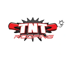 TnT Roofing Services