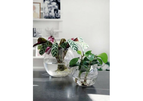 Buy FLORALCRAFT® 12.5cm Fishbowl At Wholesale Price - 2/2