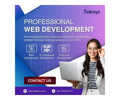 Web Development Company London | Idiosys UK