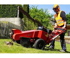 Want Affordable Stump Grinding Services?