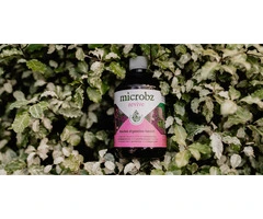 Our Liquid Probiotic with 15 Strains of Microbes - microbz