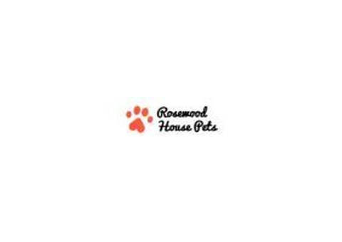 Pet Daycare in Cheshire - 1/4