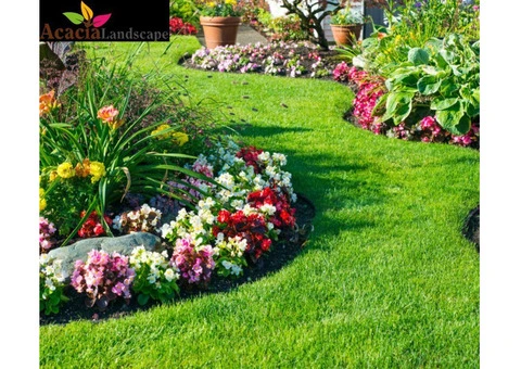 Acacia Landscapes – Your Go-To for Garden Plant Design in Sussex