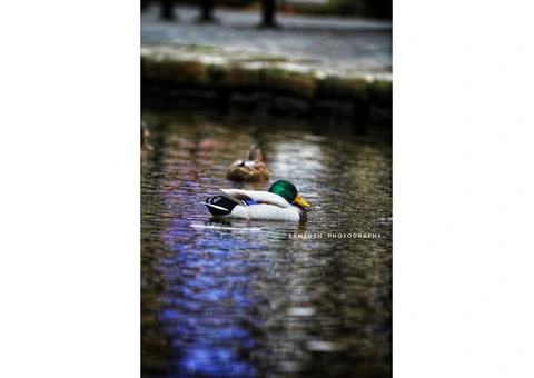 Freeze time photography - 3/8