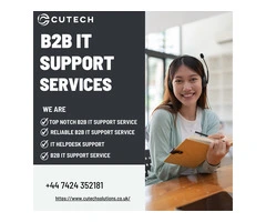 B2B IT Support Services: Increasing Security and Efficiency in the Business