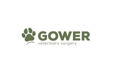 Gower Veterinary Surgery - Swansea