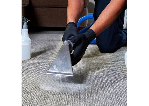 Premium Carpet Cleaning Services in North London – Transform Your Carpets Today!