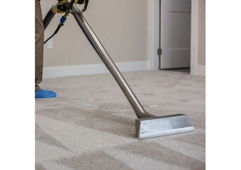 Top-Rated Carpet Cleaning Services in Middlesbrough – Fresh, Clean Carpets Guaranteed!