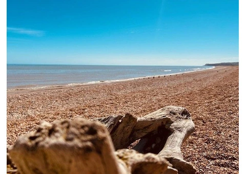 Delta Wadhurst Holiday Home - 6/28