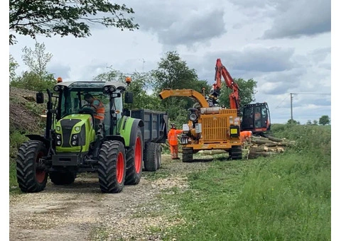 Tree Surgery Chester - 2/3