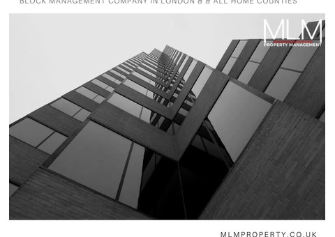 MLM Property Management - 1/8