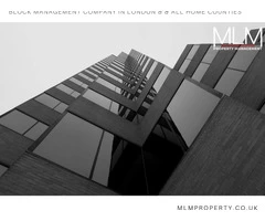 MLM Property Management