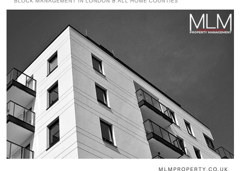 MLM Property Management - 3/8