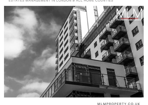 MLM Property Management - 5/8