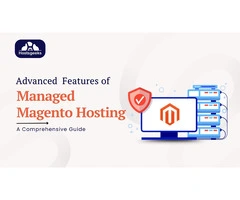 Advanced Features of Managed Magento Hosting: A Comprehensive Guide