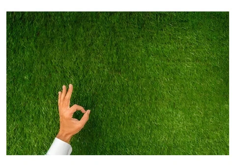Get a Free Consultation for Artificial Grass Installation in Birmingham