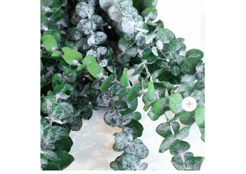 Add a Fresh Look to Your Home with Preserved Eucalyptus - Baby Blue!