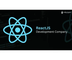 Top Reactjs Development Company