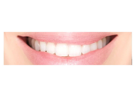 Bay House Dental Practice - 5/8