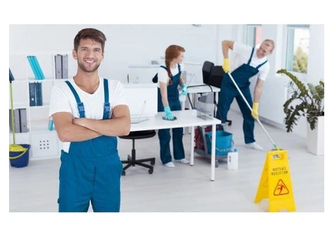 Carpet Cleaning Company