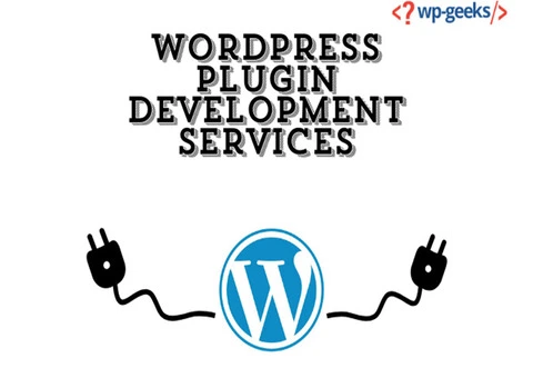 How to Choose the Best WordPress Plugin Development Services
