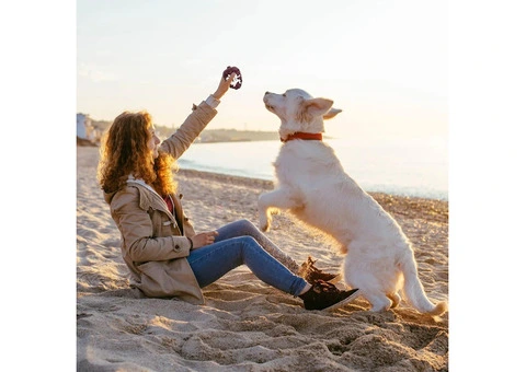 Satisfy Chewing Urges with Our Durable Pine Cone Dog Toy - 2/2