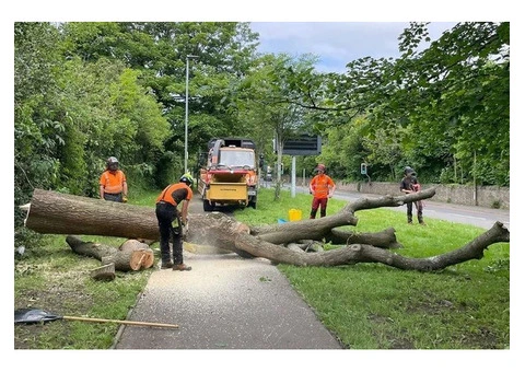 TD Tree & Land Services Ltd - 2/3