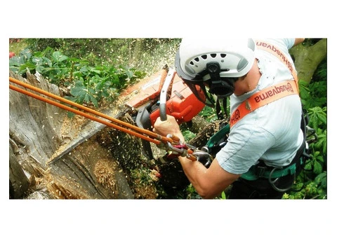 TD Tree & Land Services Ltd - 3/3