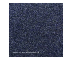 Elegant Blue Carpet - Carpet Delivered