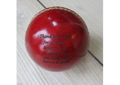 Printed cricket balls with motivational quotes