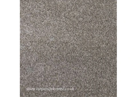 Elegant Silver Carpet for a Modern Look - Carpet Delivered