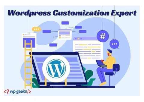 How to Choose the Right WordPress Customization Expert