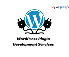 WordPress Plugin Development Services | HireWPGeeks
