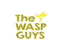 Swift Wasp Nest Removal in Surrey – Call the Experts Today!