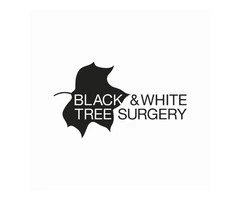 Berkshire’s Leading Tree Surgeon – Expert Care for Your Trees and Garden