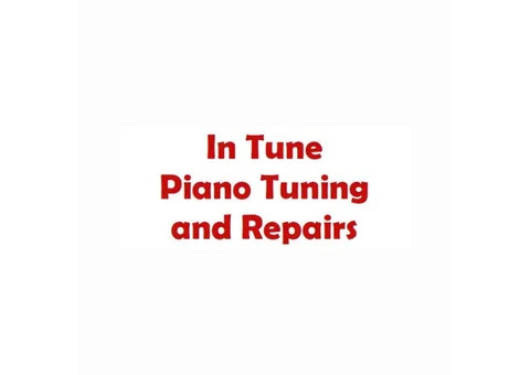 Expert Piano Fixing in Hampshire – Contact Us Today!