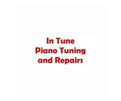 Expert Piano Fixing in Hampshire – Contact Us Today!