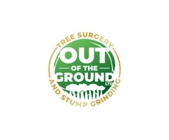 Need a Professional Tree Surgeon in South Oxhey? Call Out Of The Ground LTD Today!