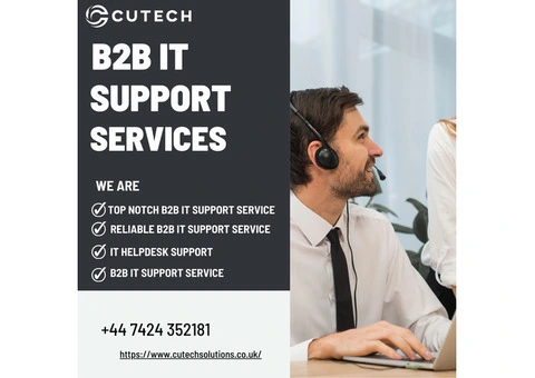 Maximizing Efficiency with B2B IT Support Services