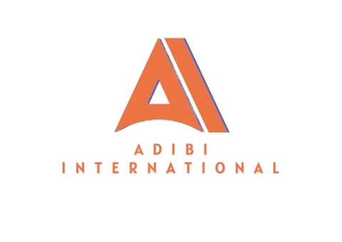 Unlock Your Brand’s Potential with Adibi International’s Digital Marketing Expertise