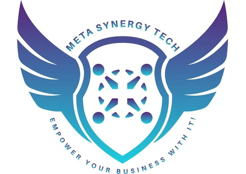 Meta Synergy Tech Ltd