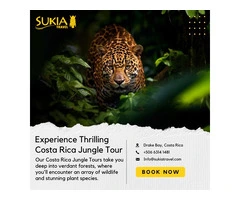 Costa Rica’s Wild Wonders Await - Sukia Travel